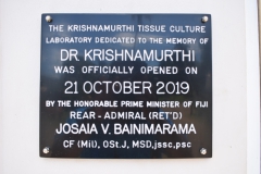 Plaque